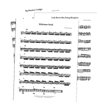 Folk Hymn Music Arrangements in PDF